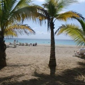 Meet your Posher, Beth ann